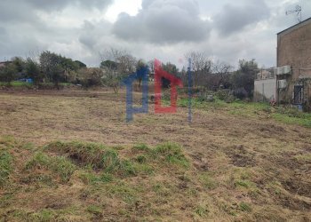 Foto 6 - Terreno agricolo Vicolo Sant. Antonio, Albano Laziale - foto 6