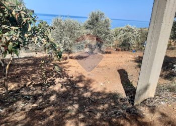 Giardino - Terreno agricolo Termini Imerese - foto 4