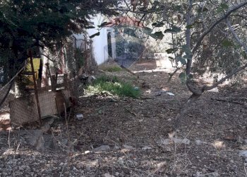 Giardino - Terreno agricolo Termini Imerese - foto 7