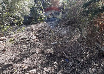 Giardino - Terreno agricolo Termini Imerese - foto 8