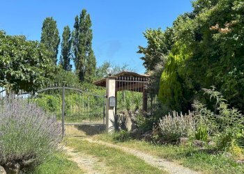 INGRESSO GIARDINO - Casa semi indipendente Regione Torrazza, Strevi - foto 6