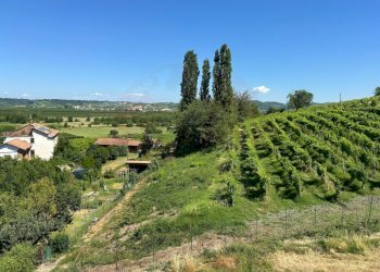 VISTA - Casa semi indipendente Regione Torrazza, Strevi - foto 20