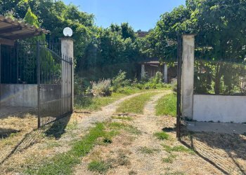 INGRESSO GIARDINO - Casa semi indipendente Regione Torrazza, Strevi - foto 39