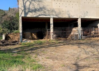 Foto 13 - Villa via del cimitero
 
4, Castelnuovo Magra - photo 13