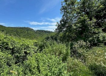 Foto 20 - Villa via del cimitero
 
4, Castelnuovo Magra - photo 20