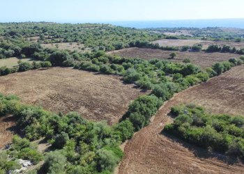 Foto 26 - Villa Contrada Mezzo Gregorio, Noto - foto 26