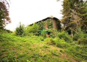 Rustic Via Schwaitzer, Monte San Pietro - photo 12