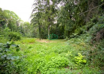 Rustic Via Schwaitzer, Monte San Pietro - photo 9
