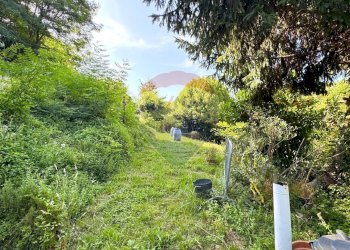 Independent house Via Ponte, 16
San Cipriano, Serra Riccò - photo 17