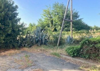 Single Family Villa Castel San Pietro Terme - photo 18