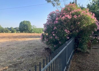 Single Family Villa Castel San Pietro Terme - photo 21