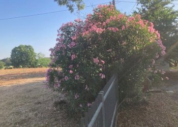 Single Family Villa Castel San Pietro Terme - photo 22