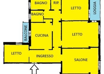 Apartment Modena - photo 2