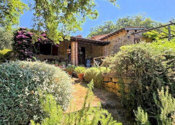 Foto 9 - Rustic Scarlino - photo 9