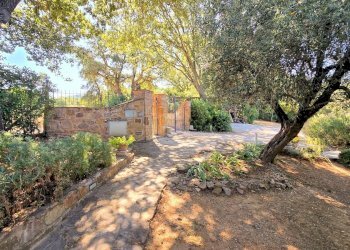 Foto 11 - Rustic Scarlino - photo 11