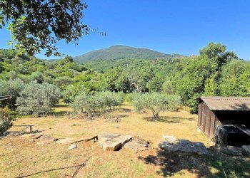 Foto 14 - Rustic Scarlino - photo 14