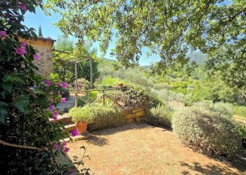 Foto 15 - Rustic Scarlino - photo 15