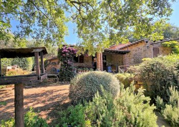 Foto 17 - Rustic Scarlino - photo 17