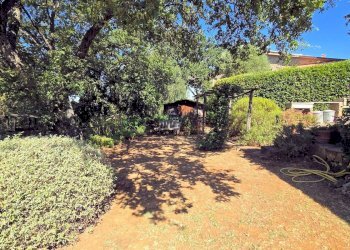 Foto 18 - Rustic Scarlino - photo 18