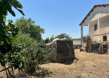 Foto 5 - Rustico colle santa maria, Mosciano Sant'Angelo - foto 5