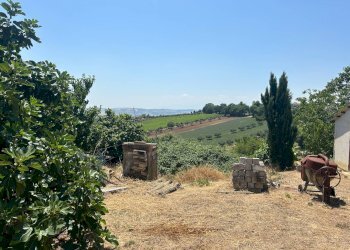 Foto 7 - Rustico colle santa maria, Mosciano Sant'Angelo - foto 7