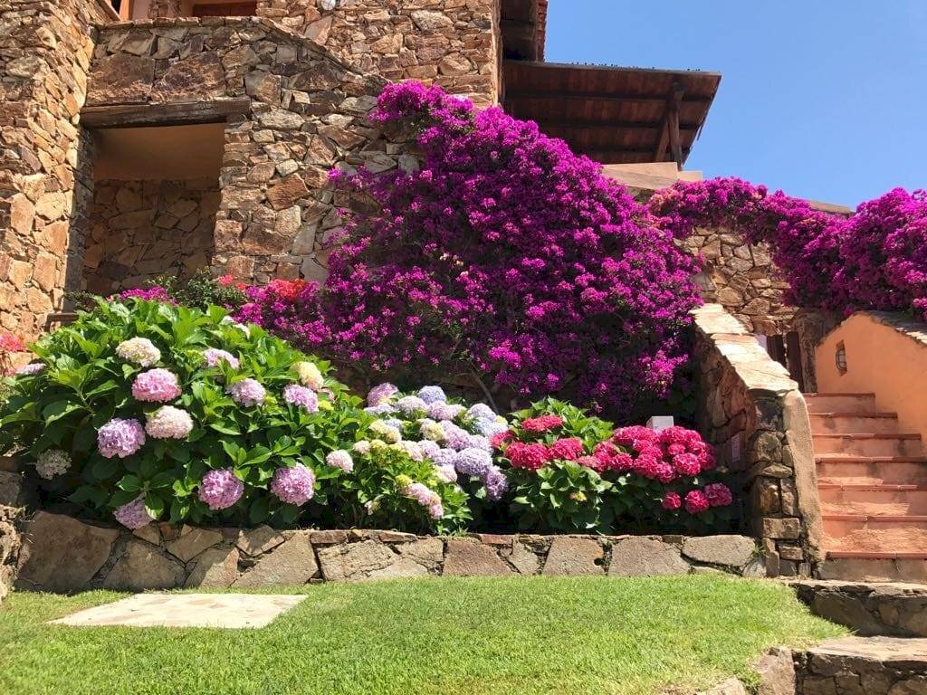 Foto 1 - Attico Via Su Pinnone
 
s.n.c., Olbia - foto 1