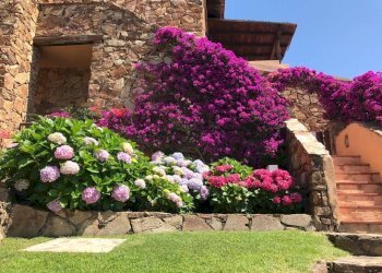 Foto 1 - Attico Via Su Pinnone
 
s.n.c., Olbia - foto 1