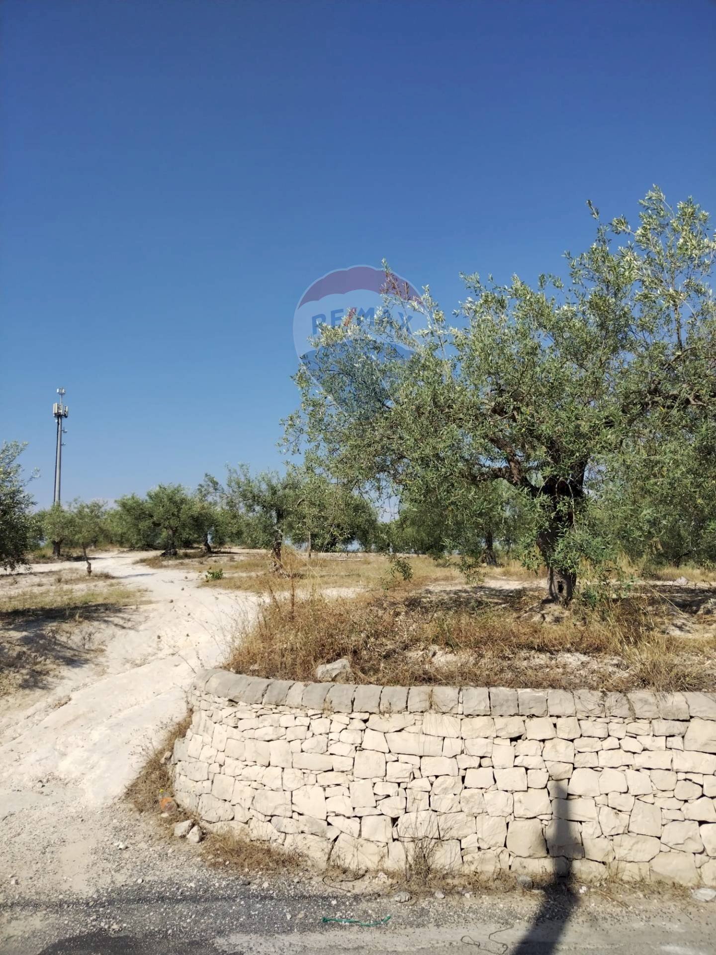 Giardino - Terreno edificabile Via Canonica
 
snc, Mazzarrone - foto 1