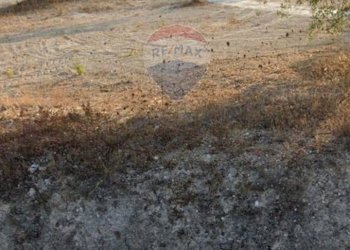 Giardino - Terreno edificabile Via Canonica
 
snc, Mazzarrone - foto 5