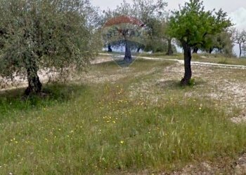 Giardino - Terreno edificabile Via Canonica
 
snc, Mazzarrone - foto 6