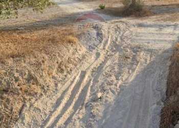 Giardino - Terreno edificabile Via Canonica
 
snc, Mazzarrone - foto 7