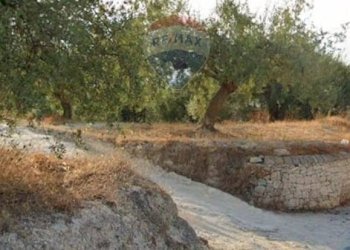 Giardino - Terreno edificabile Via Canonica
 
snc, Mazzarrone - foto 8