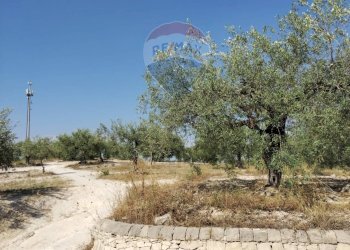 Giardino - Terreno edificabile Via Canonica
 
snc, Mazzarrone - foto 1