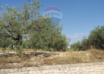 Vista dell\'acqua - Terreno edificabile Via Canonica
 
snc, Mazzarrone - foto 2