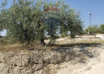 Non correlato - Terreno edificabile Via Canonica
 
snc, Mazzarrone - foto 19