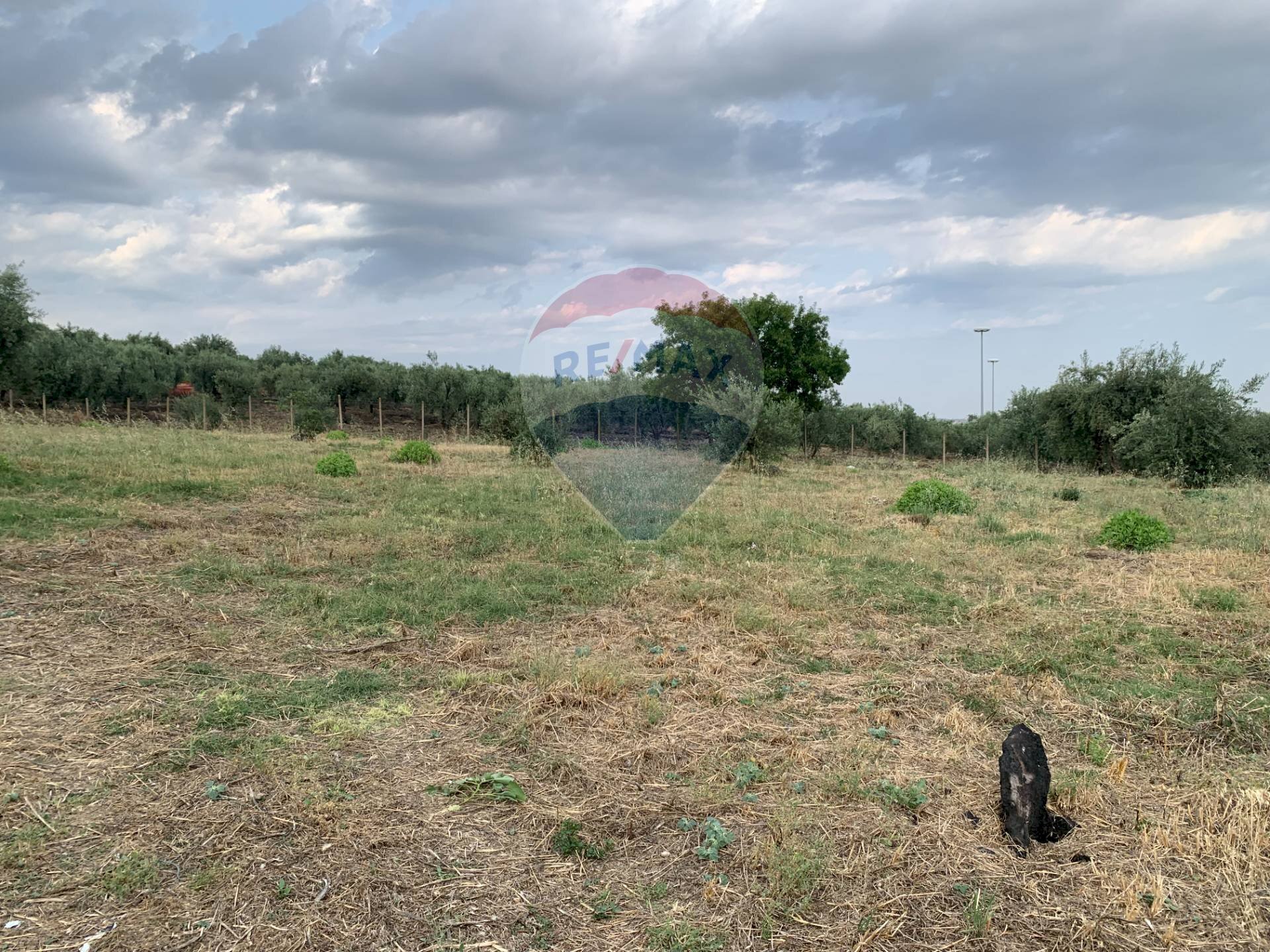 Giardino - Agricultural land strada provinciale 15, Belpasso - photo 3
