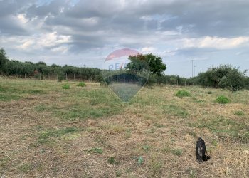 Giardino - Agricultural land strada provinciale 15, Belpasso - photo 3