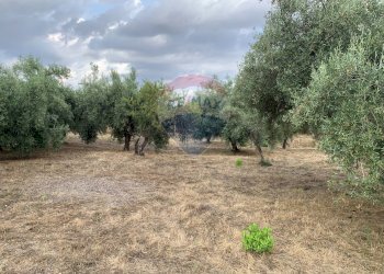 Giardino - Agricultural land strada provinciale 15, Belpasso - photo 13