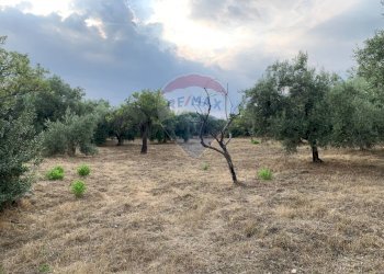 Giardino - Agricultural land strada provinciale 15, Belpasso - photo 14