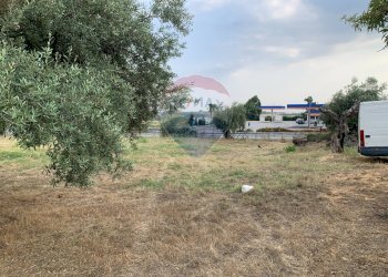 Giardino - Agricultural land strada provinciale 15, Belpasso - photo 15