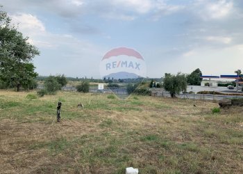 Giardino - Agricultural land strada provinciale 15, Belpasso - photo 16