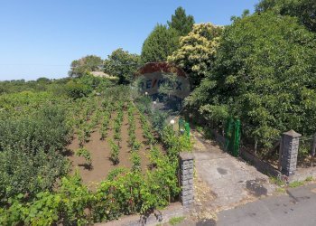 Giardino - Baita Strada Comunale del Bosco
 
16, Santa Maria di Licodia - foto 2