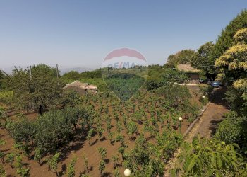 Vista delle montagne - Baita Strada Comunale del Bosco
 
16, Santa Maria di Licodia - foto 3