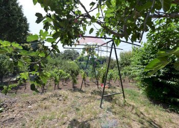 Giardino - Baita Strada Comunale del Bosco
 
16, Santa Maria di Licodia - foto 7