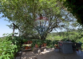 Giardino - Baita Strada Comunale del Bosco
 
16, Santa Maria di Licodia - foto 10