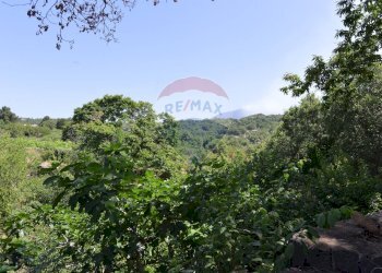 Vista delle montagne - Baita Strada Comunale del Bosco
 
16, Santa Maria di Licodia - foto 16