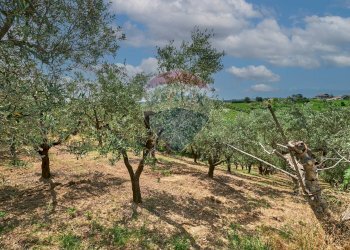 Giardino - Casa semi indipendente via sanguineto
 
32, Torrevecchia Teatina - foto 5