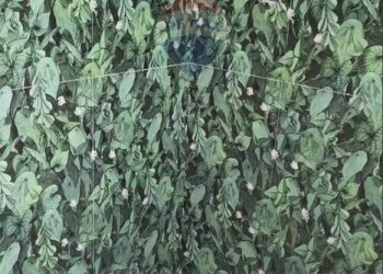 bagno - Villa a Schiera VIA FRATELLI DI DIO, Busto Arsizio - foto 22