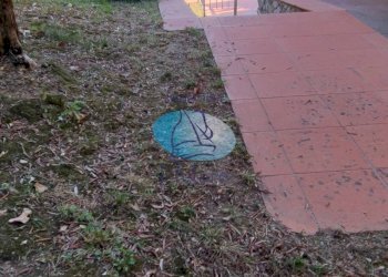 Foto 54 - Villa VIA DELLO ZILLORO, Massarosa - foto 54