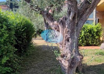 Foto 59 - Villa VIA DELLO ZILLORO, Massarosa - foto 59